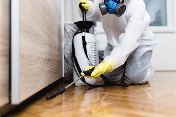 Best Pest Removal Services  in Cornville, AZ