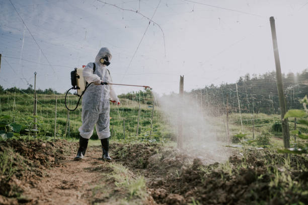Best Commercial Pest Control Services  in Cornville, AZ