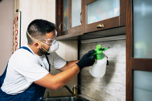 Best Pest Control Treatment  in Cornville, AZ