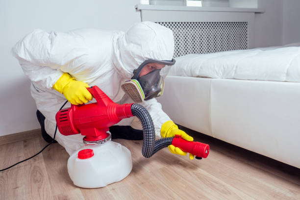 Best Affordable Pest Control Services  in Cornville, AZ